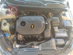 کیا ئۆپتیما